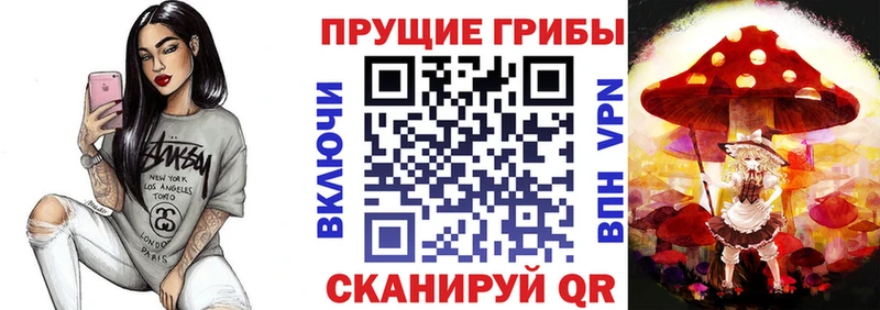даркнет сайт  Дюртюли  Псилоцибиновые грибы Cubensis 